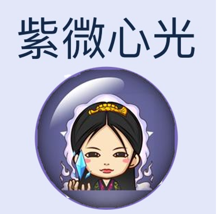 紫微心光LOGO3