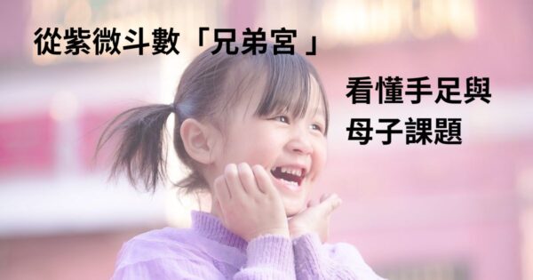 紫微斗數兄弟宮紫微教學