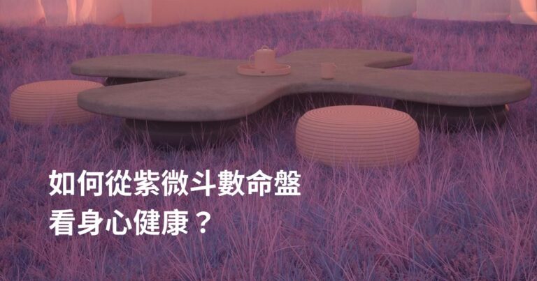 從紫微斗數命盤看身心健康圖示紫微教學